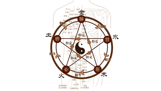 Meridians and Acupoints: How Energy Flows in the Body According to Huangdi Neijing