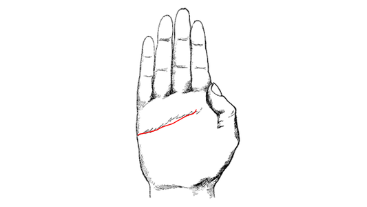 The Heart Line: What It Says About Your Emotional Life