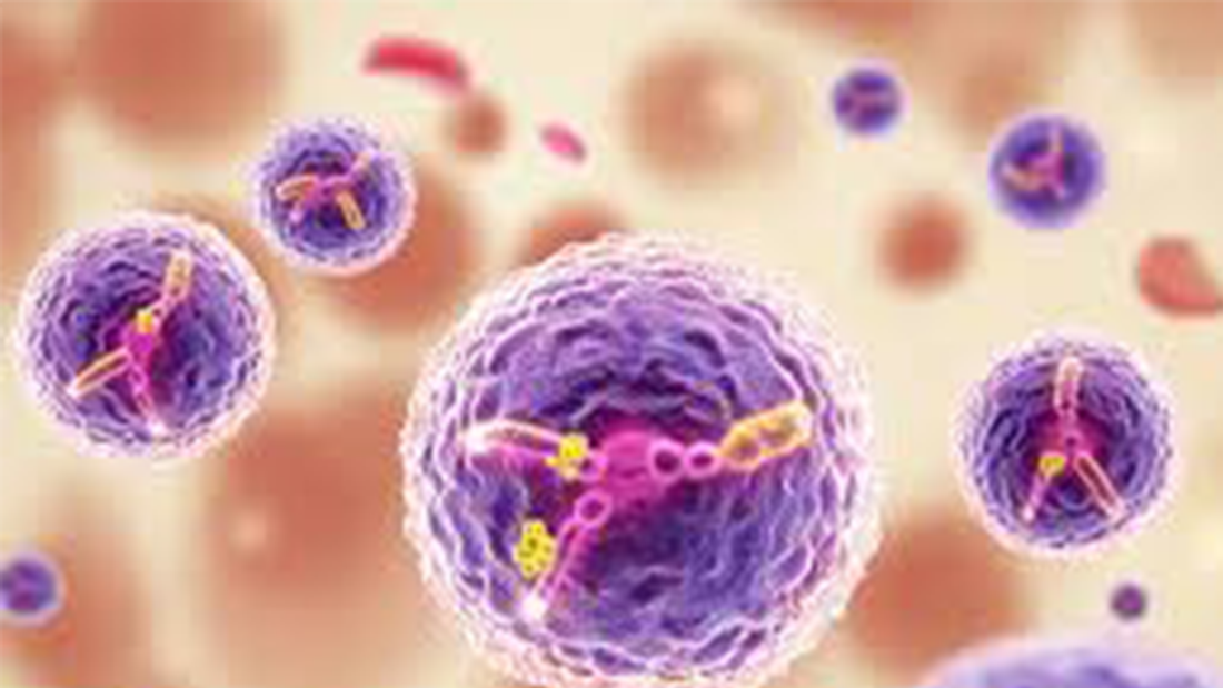 Integrating Moxibustion with Conventional Cancer Treatment: What You Need to Know